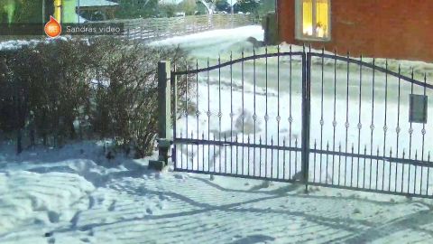 VIDEO ⟩ "Ledus gabali lidoja visur!" Skrīveru iedzīvotāji kritizē ceļu uzturētāju darbu