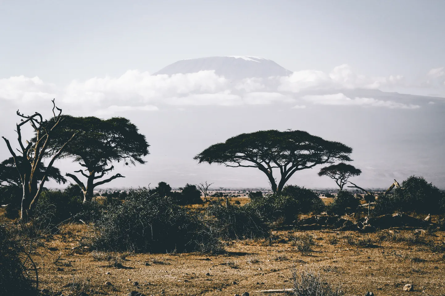 Keenia, Aafrika.
