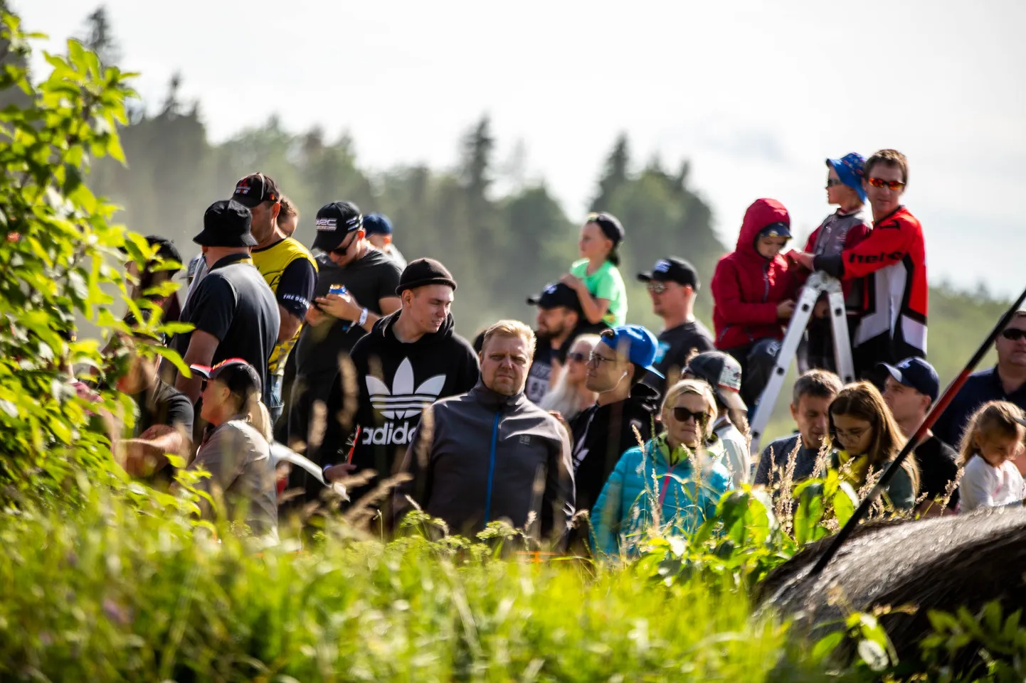 Rally Estonia