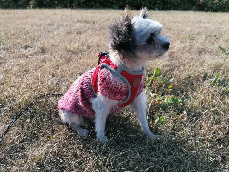 Milli-Matilda.