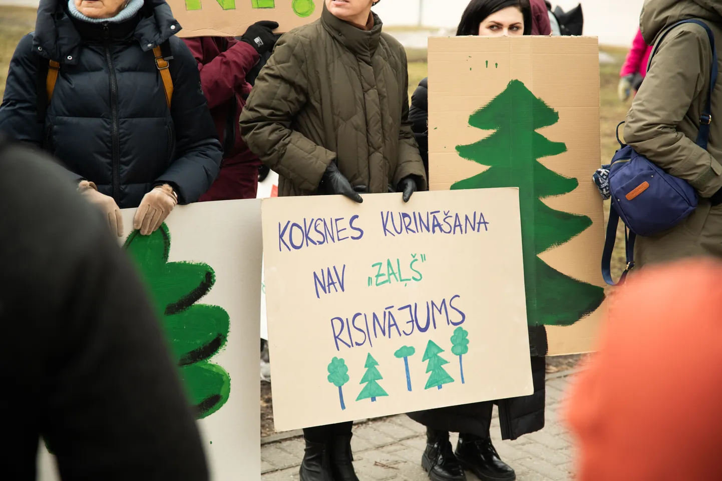 Akcija pret mazāka caurmēra koku ciršanu