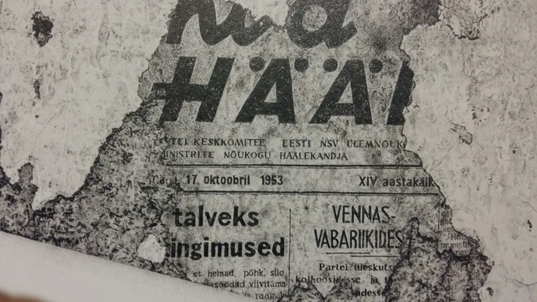 Fragment Heikki Leisi joonistusest «Puhas leht».