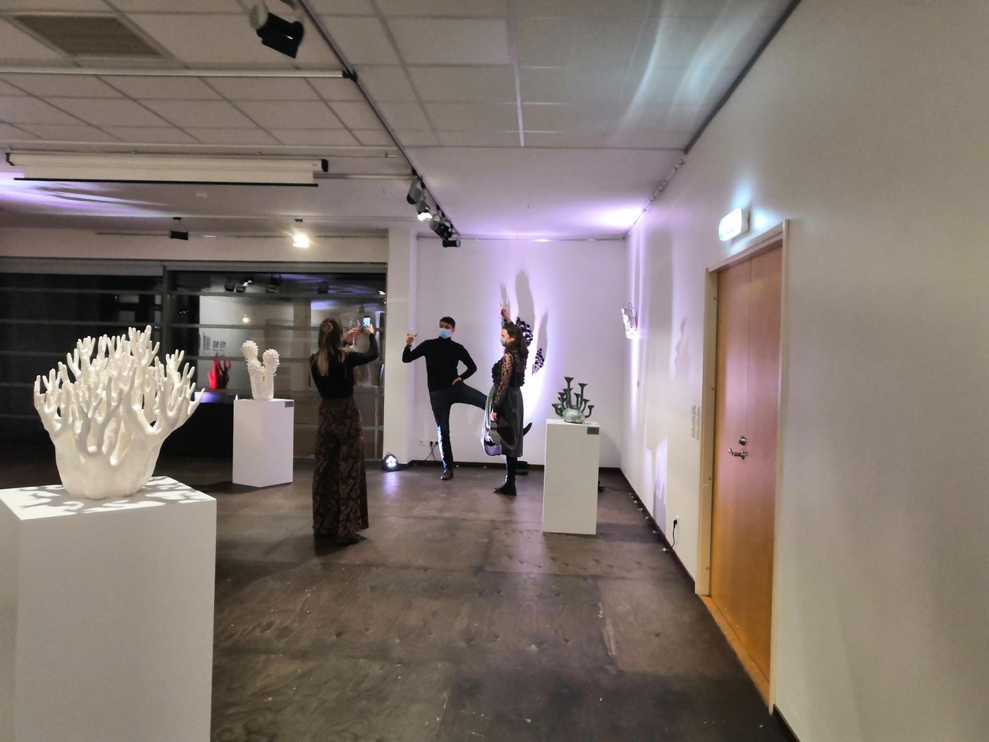 Maarit Mälgi näitus «Orgaanika II» ootab vaatajaid Viljandi linnagaleriis 22. jaanuarini.