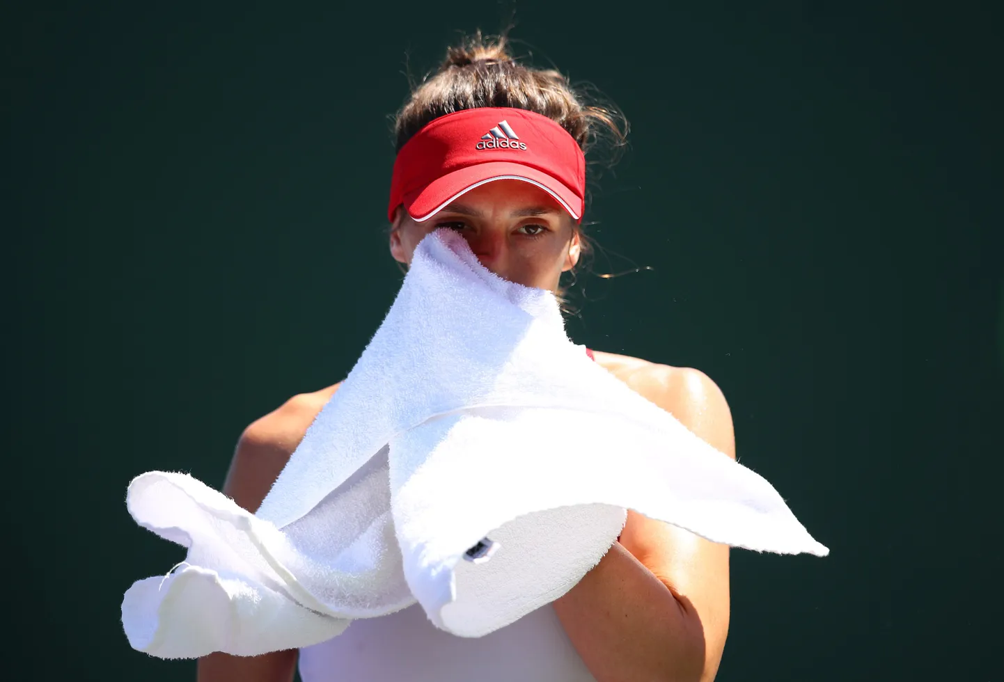 Andrea Petkovic