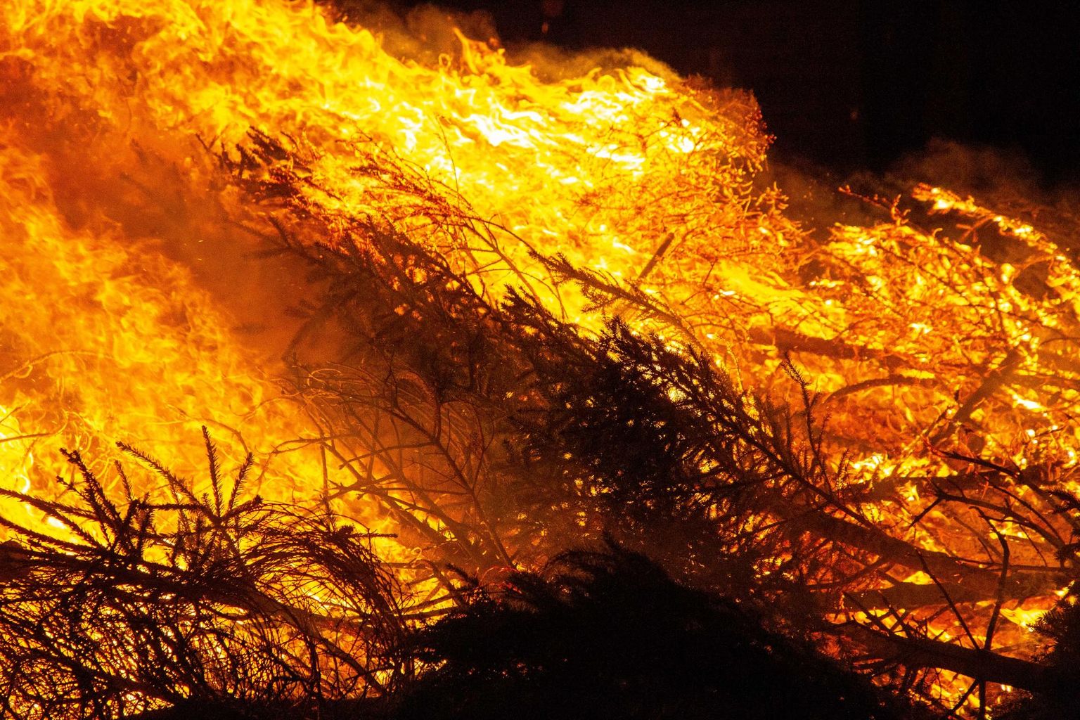 Nii metsas, maastikul kui koduaias lõket tehes tuleb järgida tuleohutusnõudeid. 