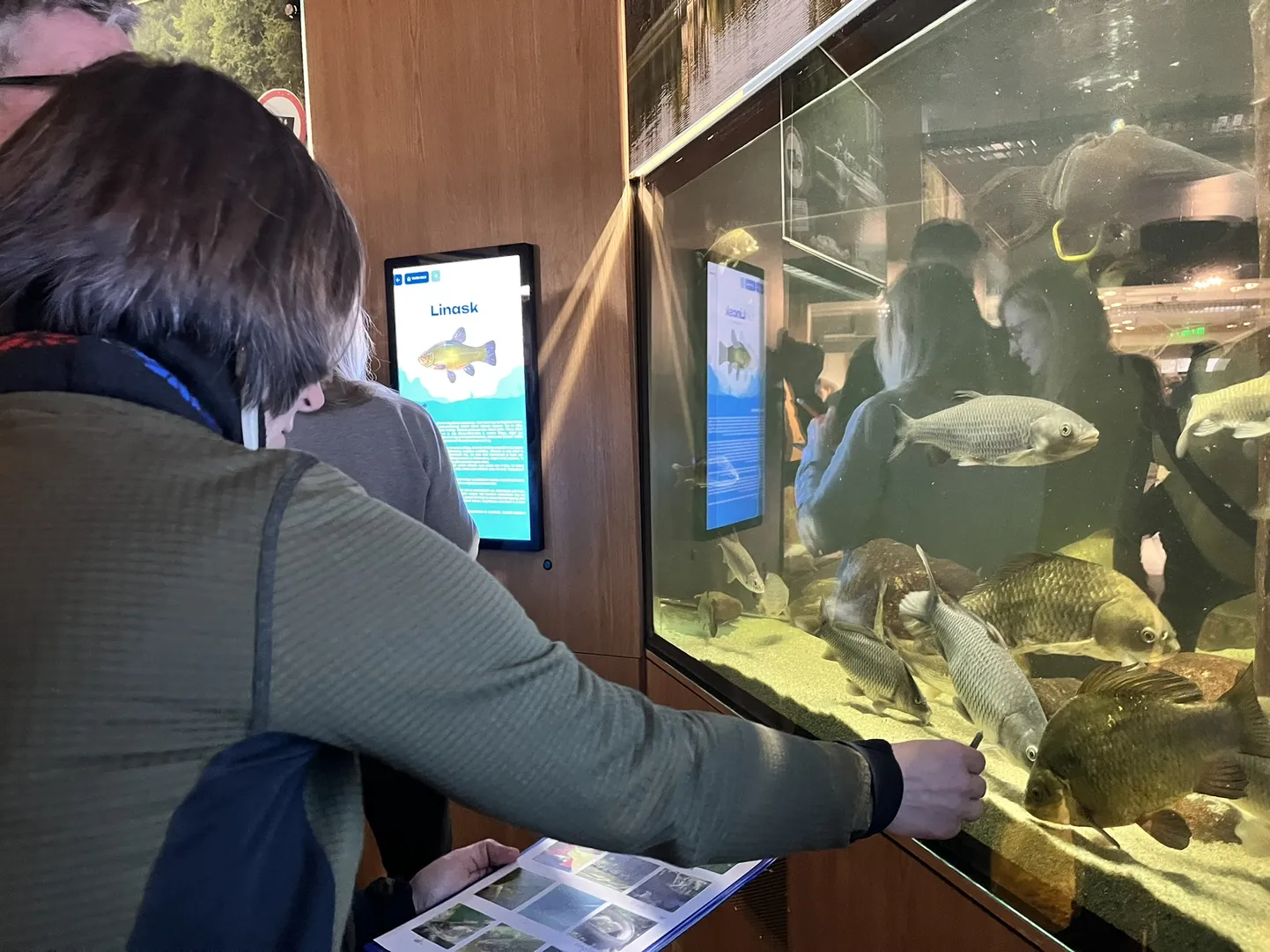 Eesti maaülikooli järvemuuseumis saab tutvuda veealuse eluga.