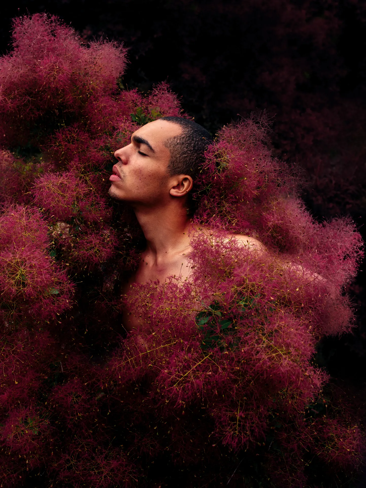 Fotografiska приглашает на масштабную выставку In Bloom.