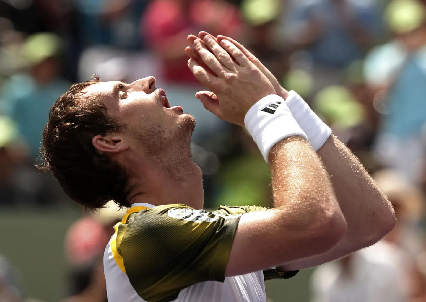Andy Murray