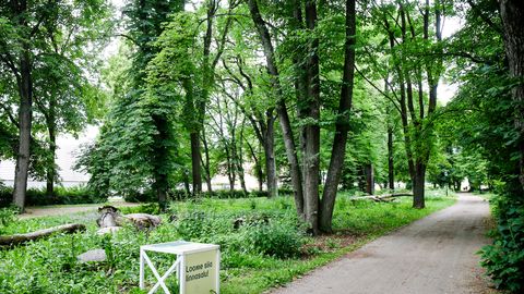 TEADLASTE AVALIK KIRI ⟩ Linnaloodus on tervise vundament