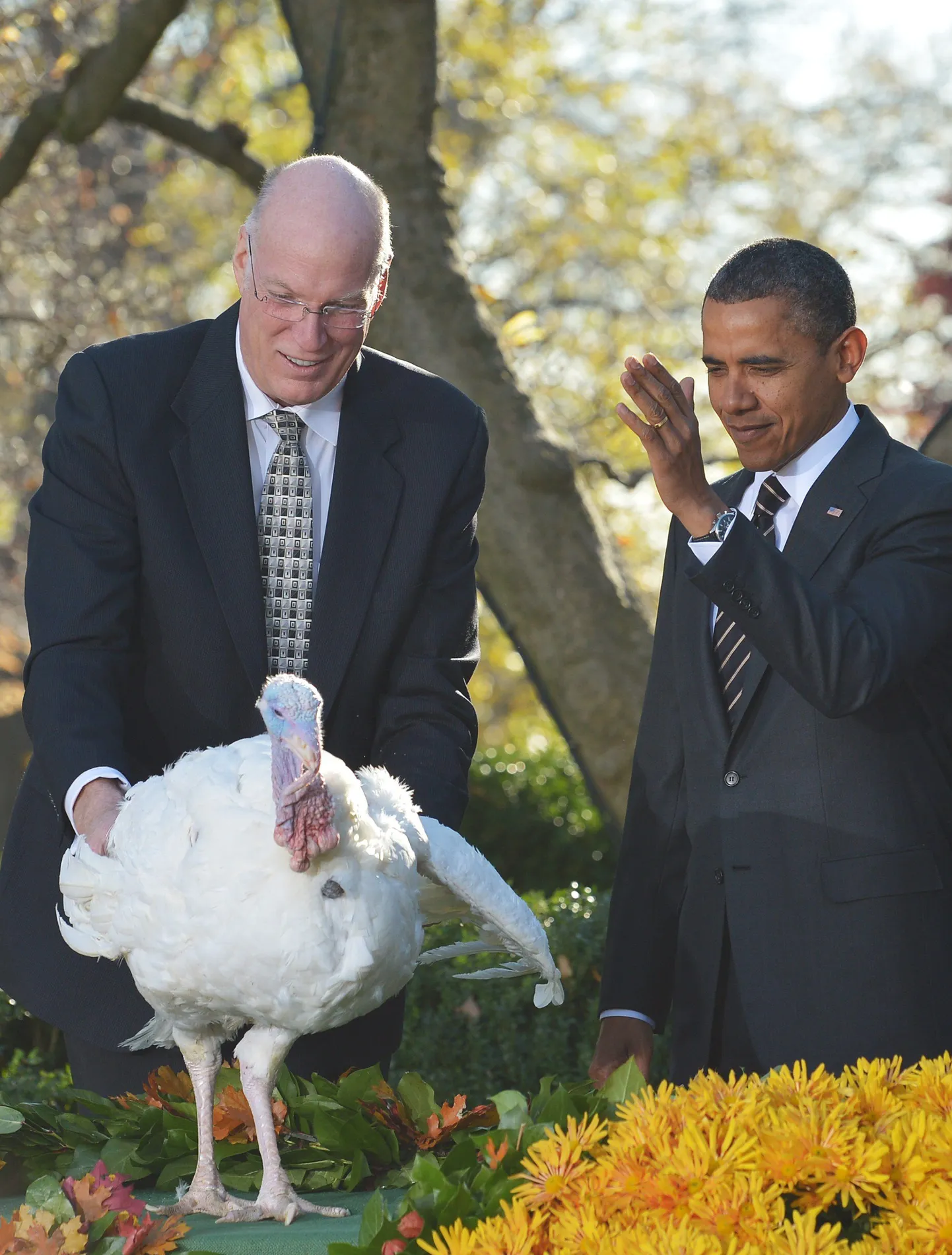 Barack Obama kalkun Cobblerile armu andmas