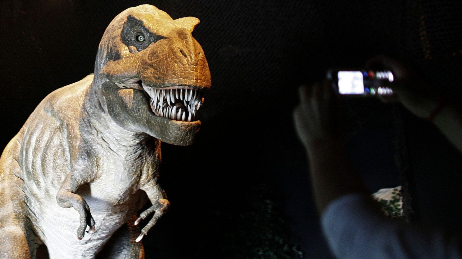 Tyrannosaurus rex`i rekonstruktsioon Lissaboni loodusmuuseumis