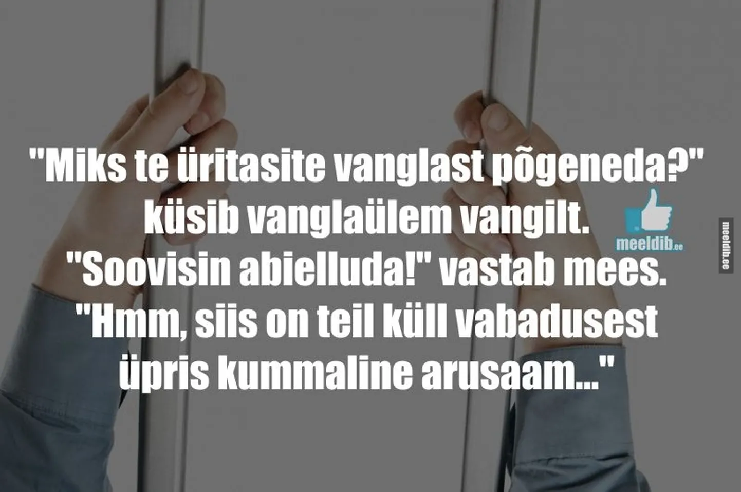 Artikli foto