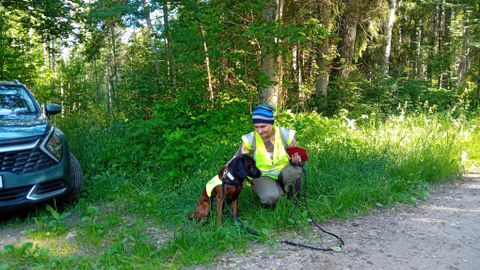 Baieri verekoerad ajasid Tamsalu kandis surnud metssigade jälgi