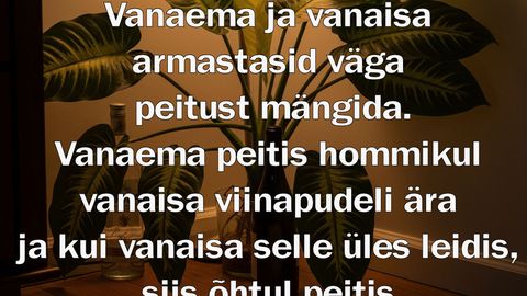 Vanaema peitis hommikul vanaisa viinapudeli ära