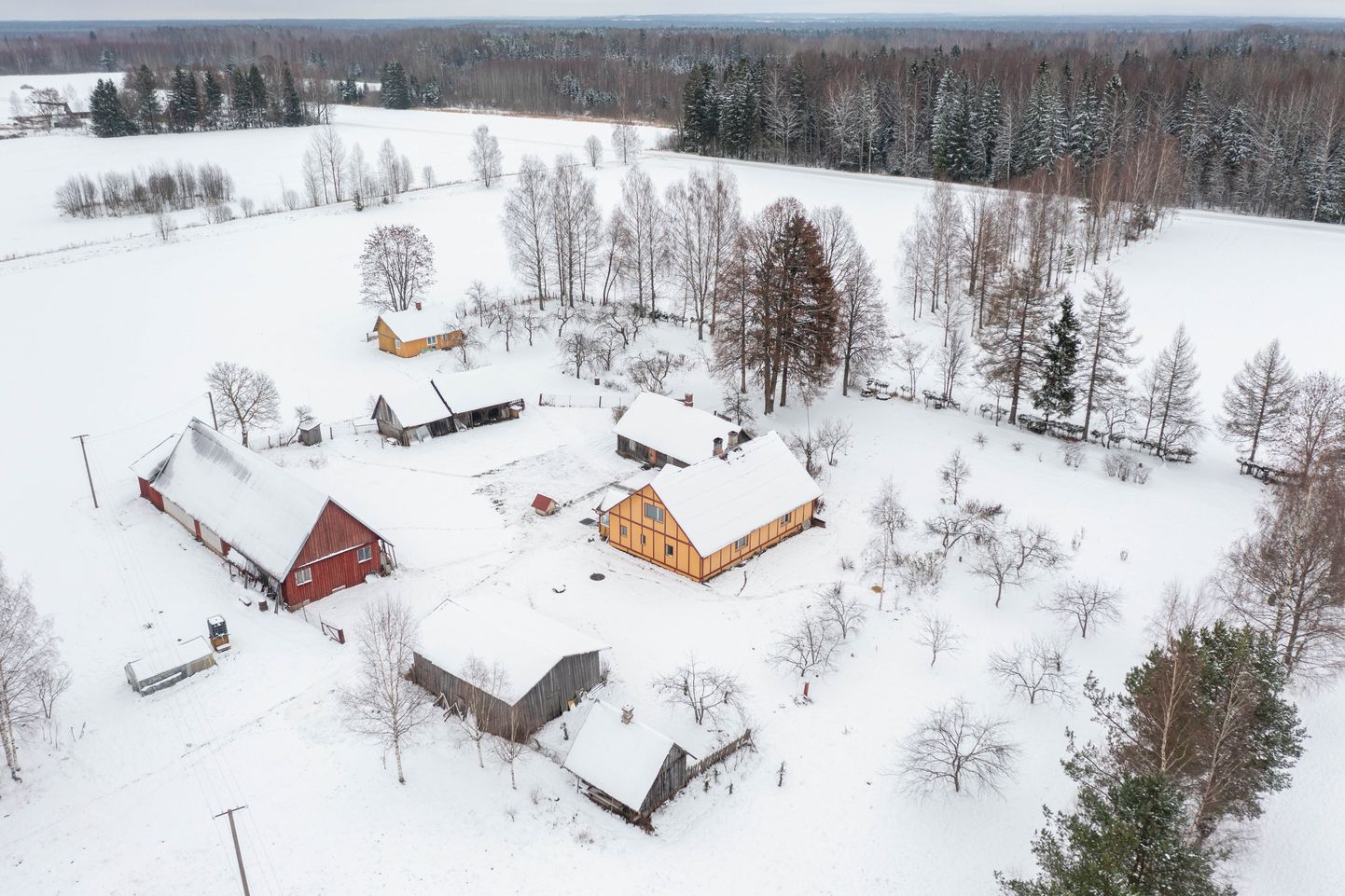 Luhametsa küla, mis jääb osaliselt planeeritava Nursipalu harjutusvälja piiridesse. 

Foto Arvo Meeks, Lõuna-Eesti Postimees