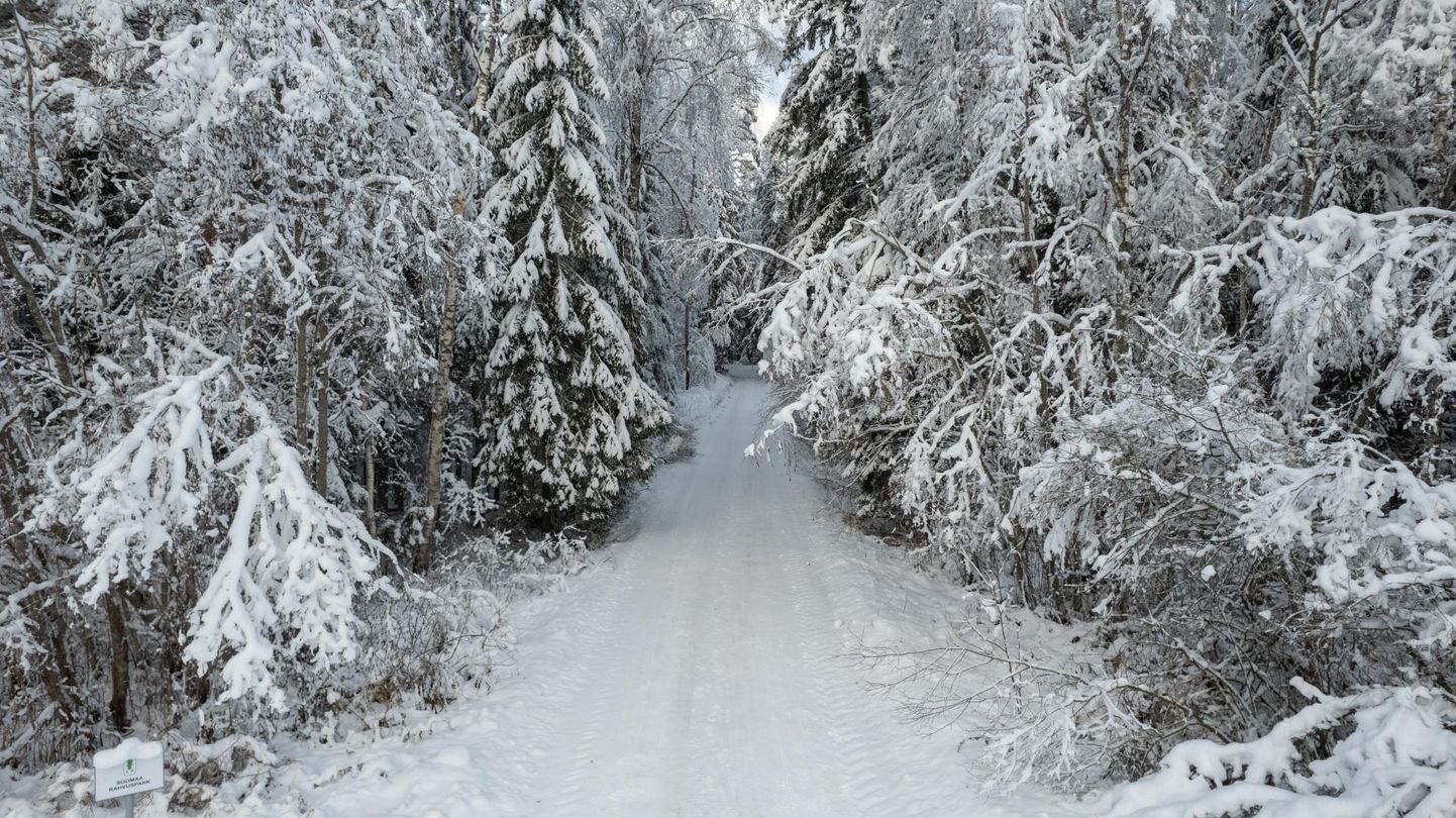 Jõulukuu alguses valitses imeline talveilm. See pilt on tehtud 6. detsembril.