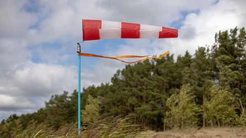 Pirmdien Latvijā no jauna pastiprināsies vējš