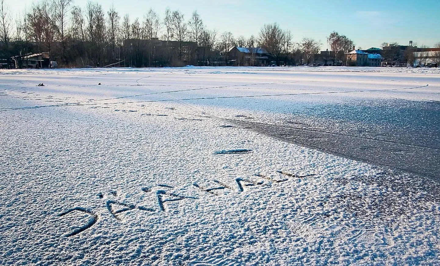 Esimest korda räägiti sellele Laia tänava ja Pärnu jõe vahelisele alale kerkivast jäähallist juba tosina aasta eest.