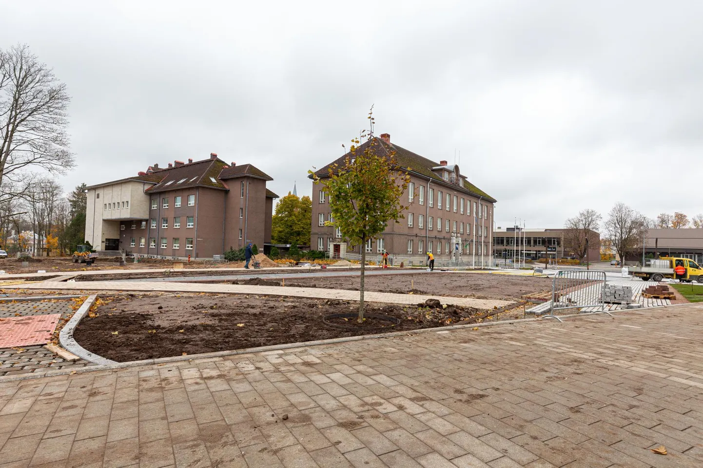 Viljandi Vabaduse plats hakkab ilmet võtma. Neljapäeval olid sinna istutatud esimesed noored puud ning rulliti lahti muruvaipa.