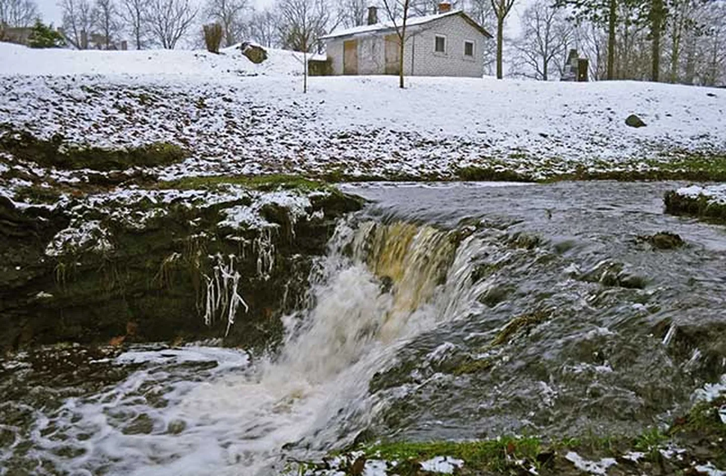 Raksta foto