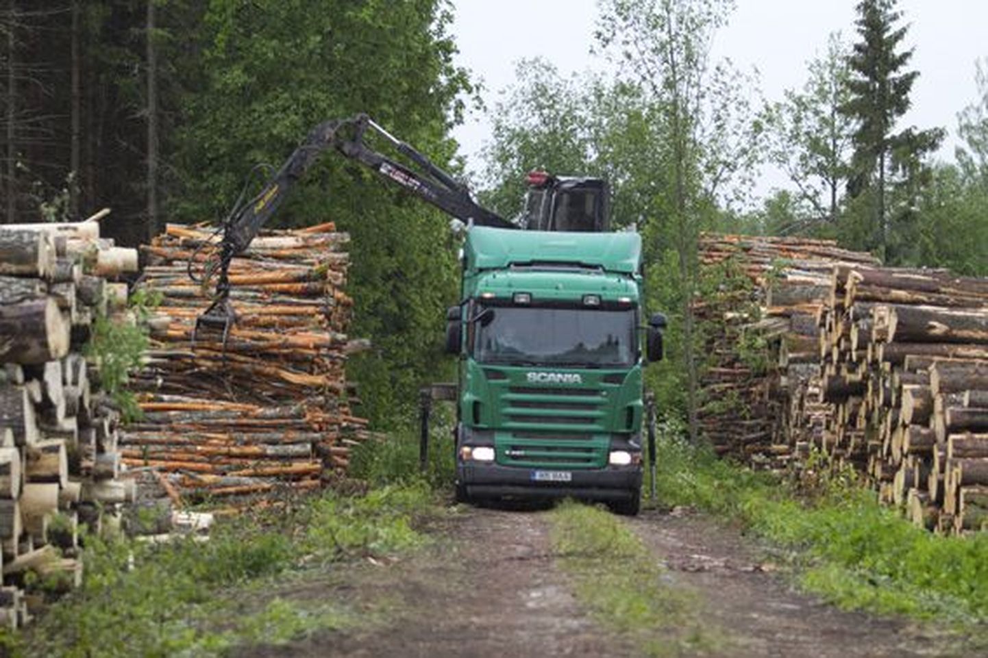 Probleeme, et intensiivne metsavedu teid kahjustab, tuleb ette üle Eesti. RMK lubab elamuteni viivad teelõigud remontida eelisjärjekorras. Foto on illustreeriv.