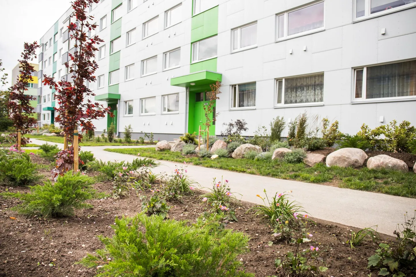 Haljastaja Marge Gross ei tahtnud kortermaja ette kõrgpeenart rajades kasutada betooni, vaid toimetas kohale suured maakivid, mille otsas armastavad maja lapsed ronida. Tasapisi on tekkinud ka oma ökosüsteem: lilledelt varisevad seemned on toiduks lindudele, õitsvad taimed meelitavad liblikaid ja mesilasi.
