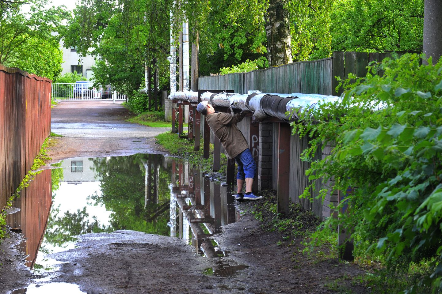 Pildil vihmadega kaasnev veeuputus Põldmarja tänaval Tallinnas.