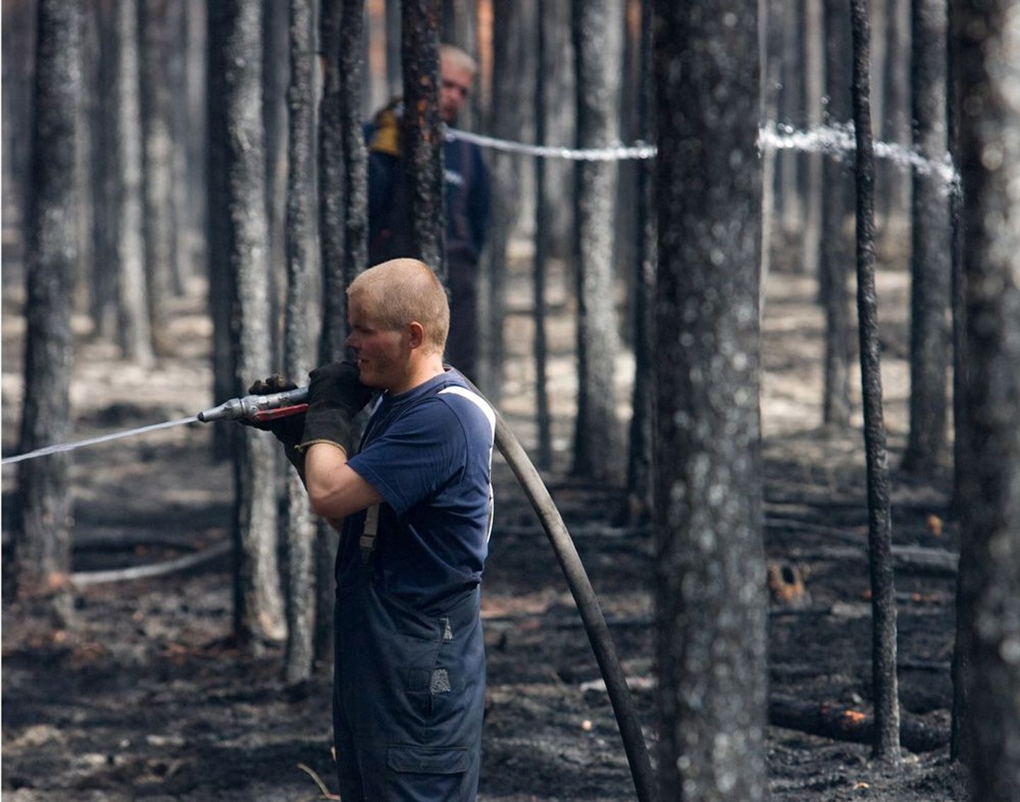 Harjumaa ja Läänemaa piiril Vihterpalus on aegade jooksul olnud mitmeid väga suuri metsapõlenguid. 2008. aasta mai lõpus tuli päästjatel kustutada seal 850 hektarit metsa ja raba.