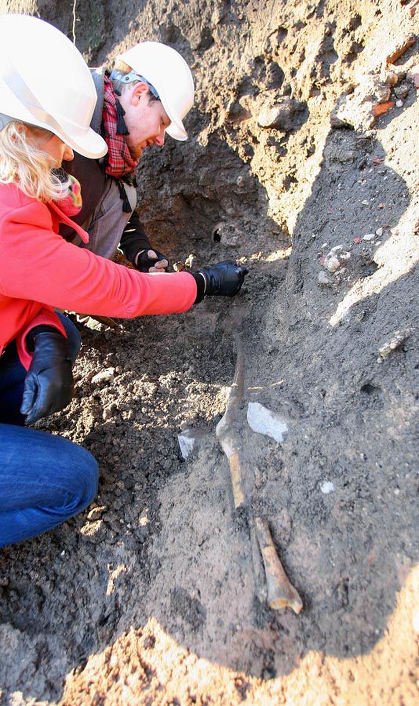 Reedel kaevasid arheoloogid Karin Vimberg ja Ingmar Noorlaid inim­skeleti Viljandi lossimägede nõlvast välja.