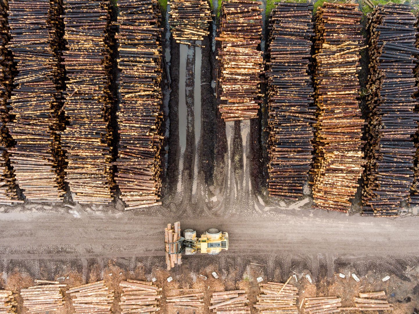 Virnastatud metsamaterjal Toftani puidutööstuses. Foto on illustratiivne.
