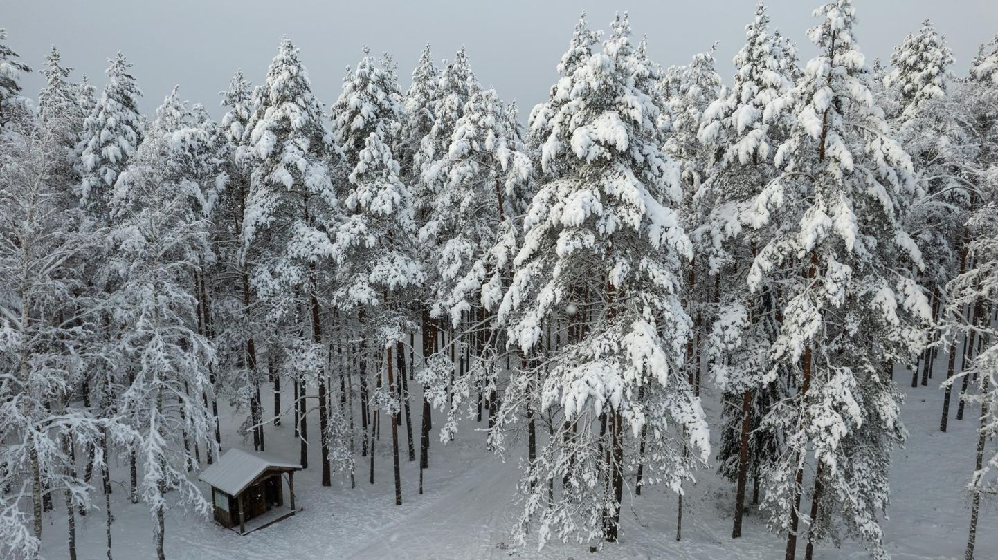Pilt on tehtud 6. detsembril Soomaal.