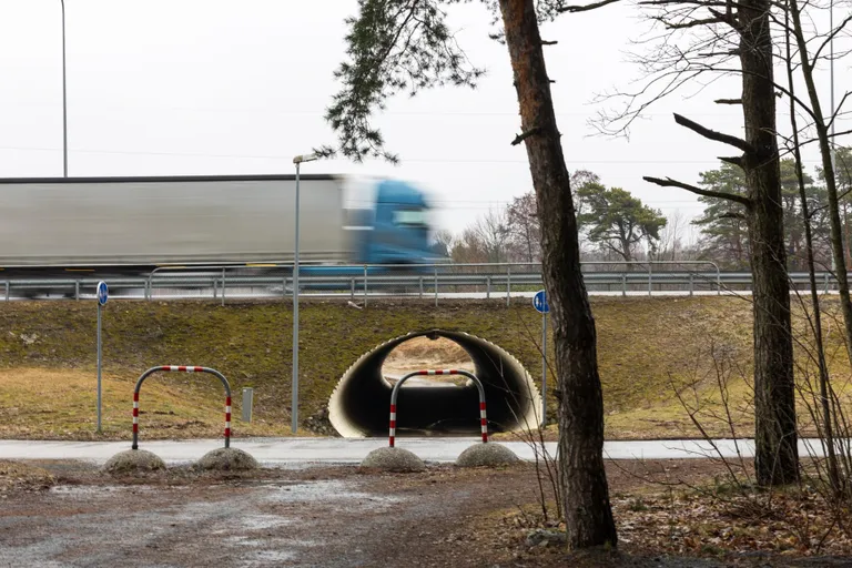 Liivi tee alt läbi viiva Raeküla käigutunneli ehitus algab suvel.