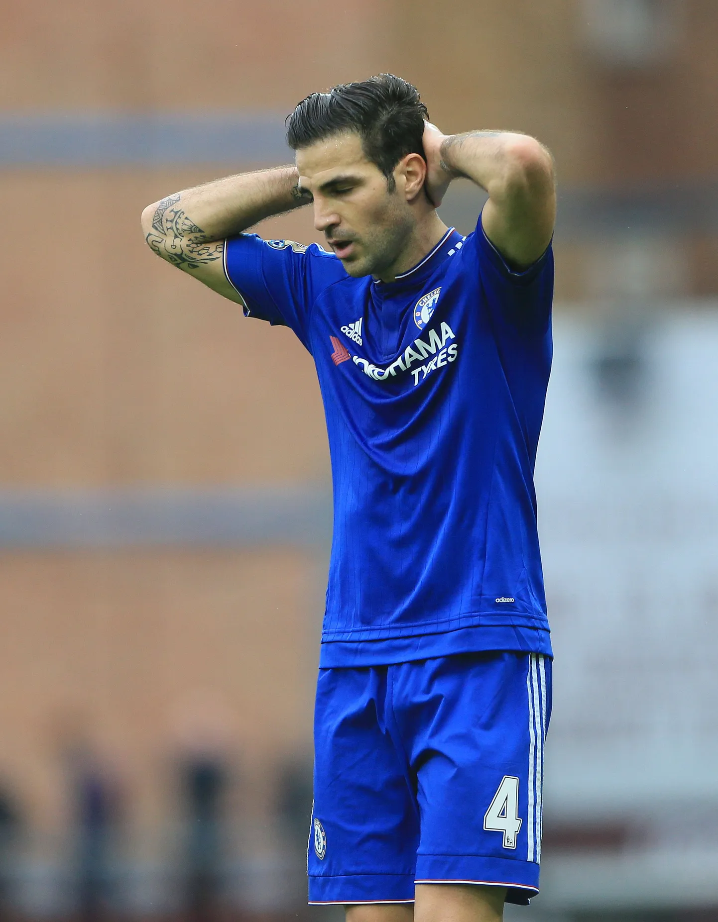 Cesc Fabregas