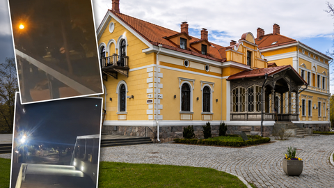 VIDEO ⟩ Viljandi kesklinnas nähti öösel põtra