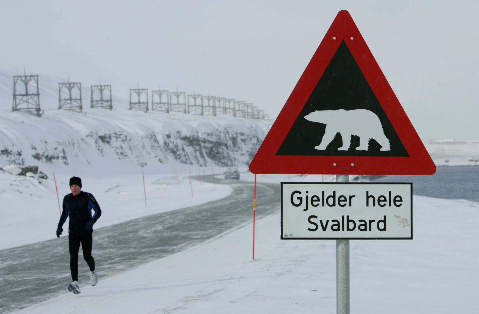 Silt Teravmägedel, mis hoiatab jääkarude eest