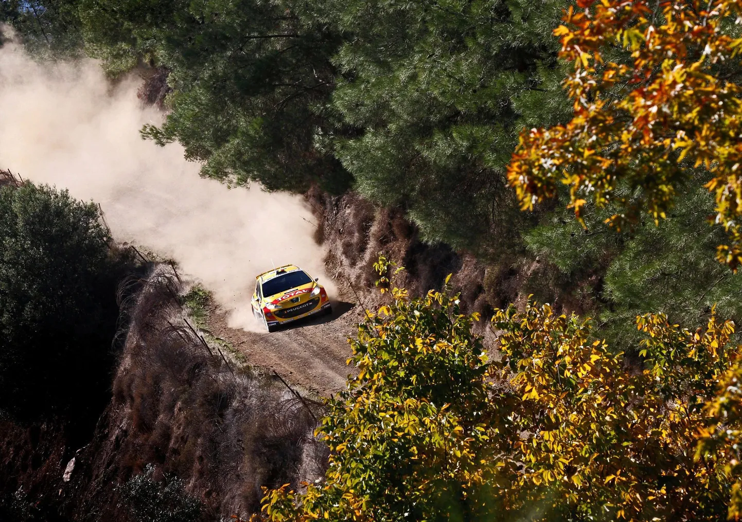 Thierry Neuville Peugeot' roolis Küprose rallil.