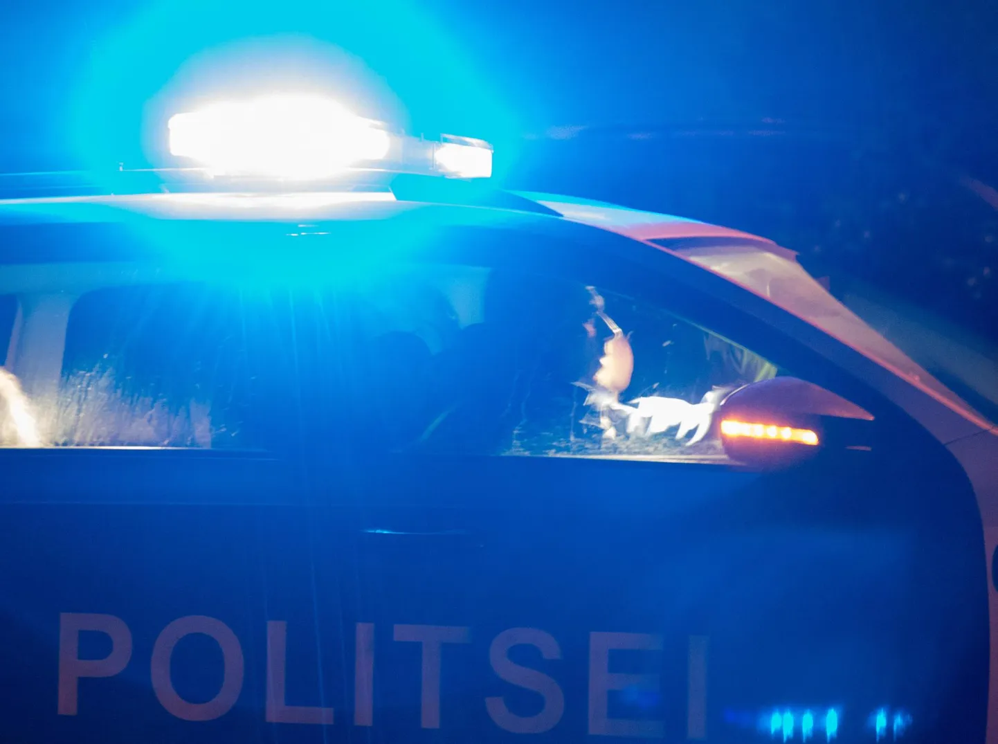 Politsei sai äreva väljakutse Annelinna, kus kostusid lasud.