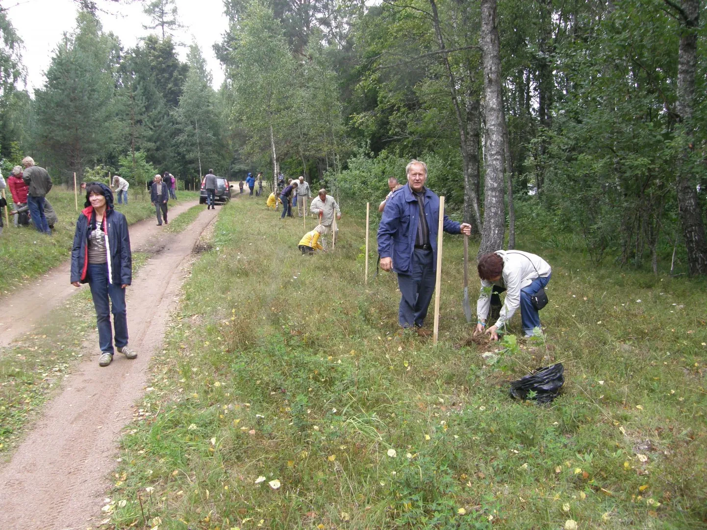 Fotomeenutus 2011. aastast, kui metsaomanikud ühisel jõul Vahur Eenmaa metsa tamme­alleed rajasid.