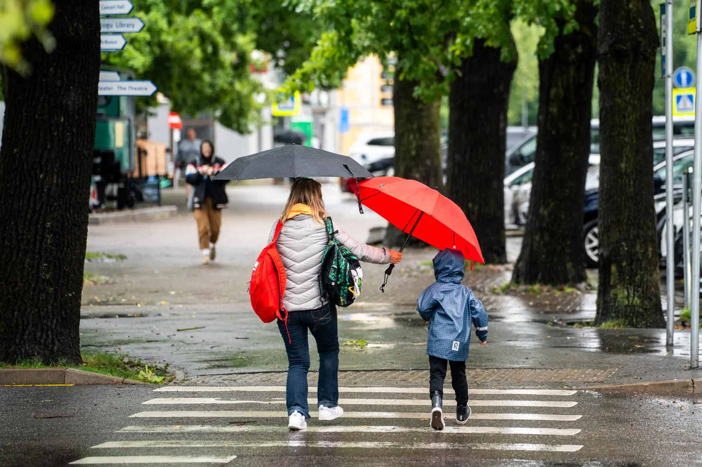 Vihmavarjud tasub välja otsida.