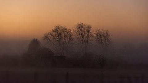 V Latviji se je začela solarna zima, najtemnejše obdobje leta