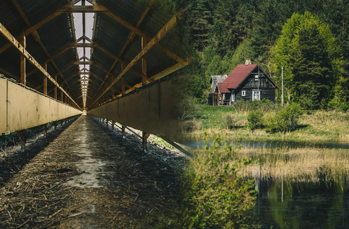 Фото статьи