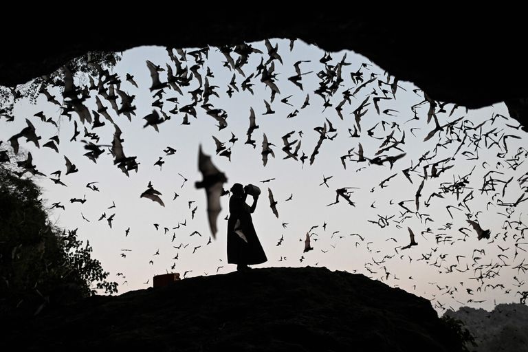 Naine Myanmari Liidu Vabariigis asuva koopa ees, milles pesitsevad nahkhiired. Koopaid külastavad erinevatel põhjustel nii kohalikud kui ka turistid.