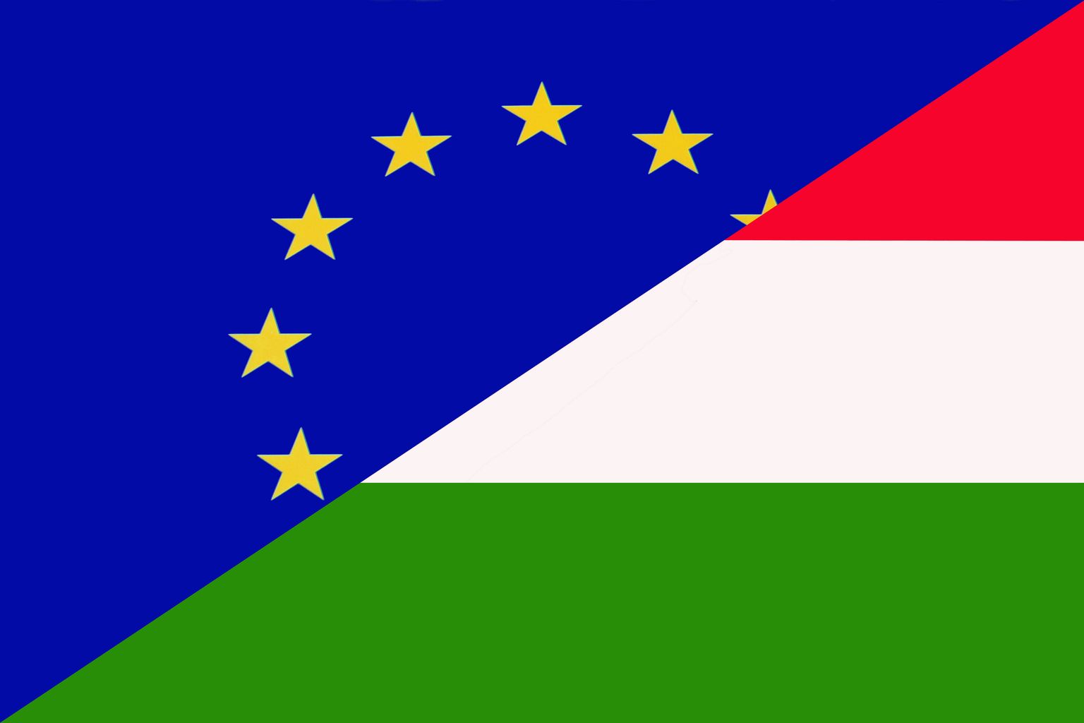 Euroopa Liidu ja Ungari lipud.