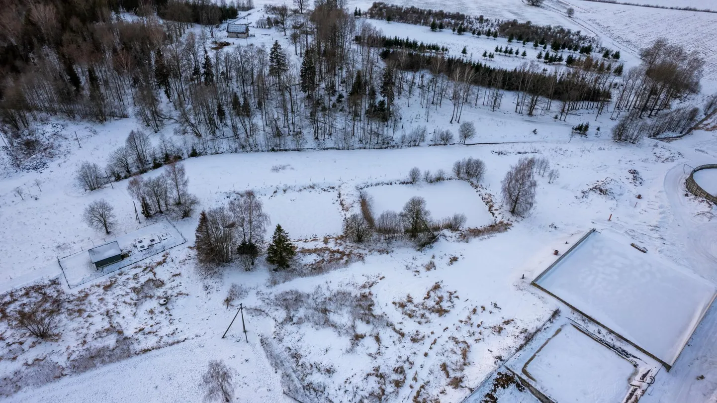 Reegoldi biotiikide ümber on elektrikarjusega piiratud ala, millel rohelisel ajal käivad veised söömas. See on aga valla ettevõttele kuuluv maa ning antud loomapidajale lepinguta, loata ja tasuta.