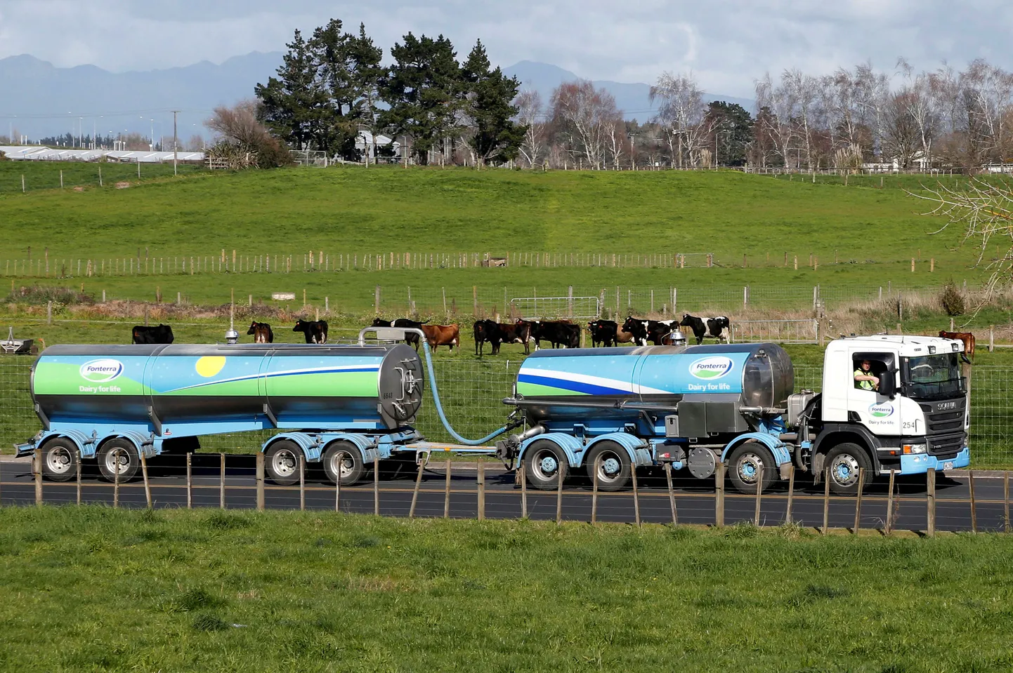 Uus-Meremaa Fonterra piimaautod