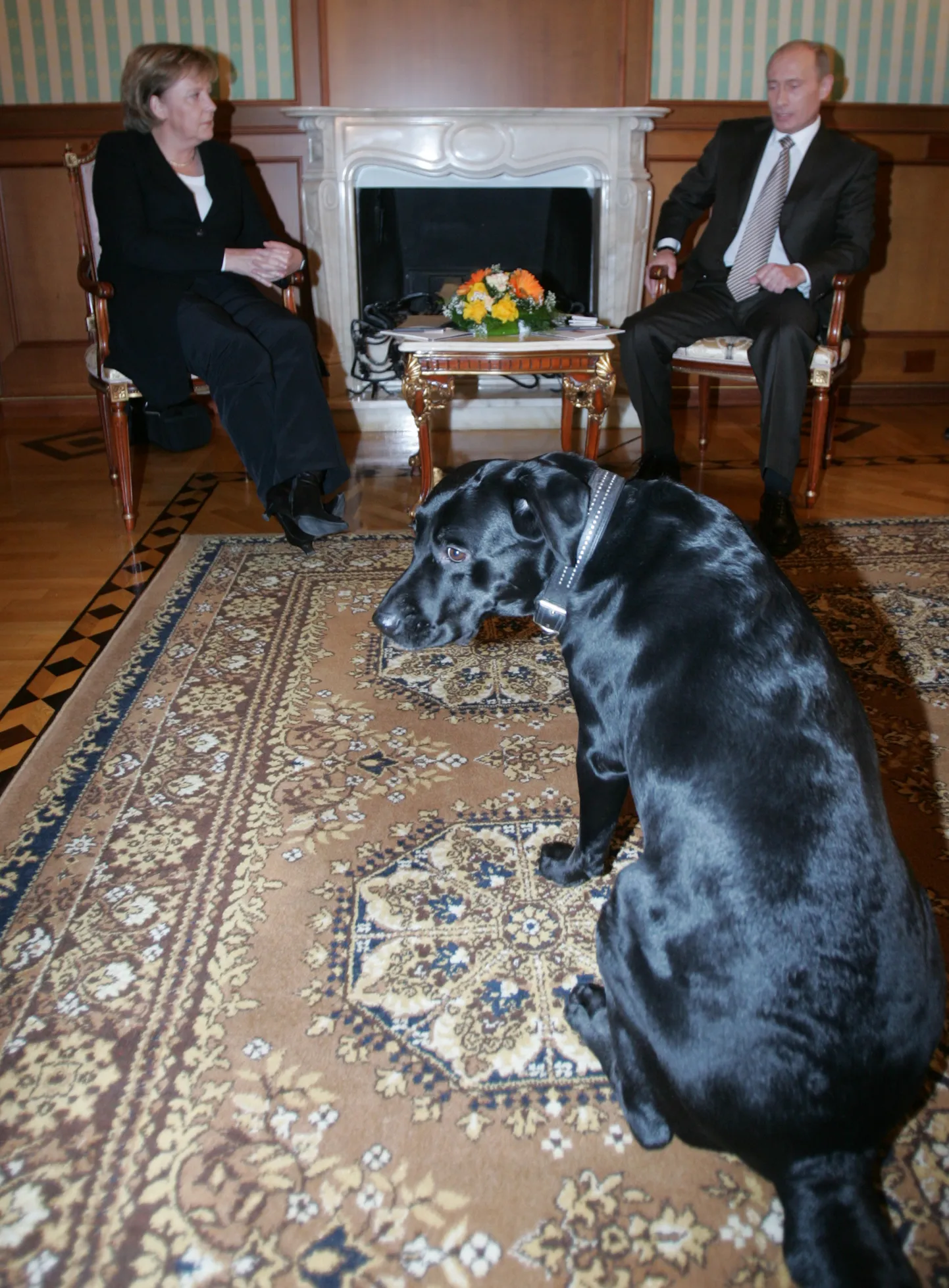 Saksa kantsler Angela Merkel ja Vene president Vladimir Putin 21. jaanuaril 2007 Venemaal Sotšis. Esiplaanil Putini koer Koni, keda Merkel kartis