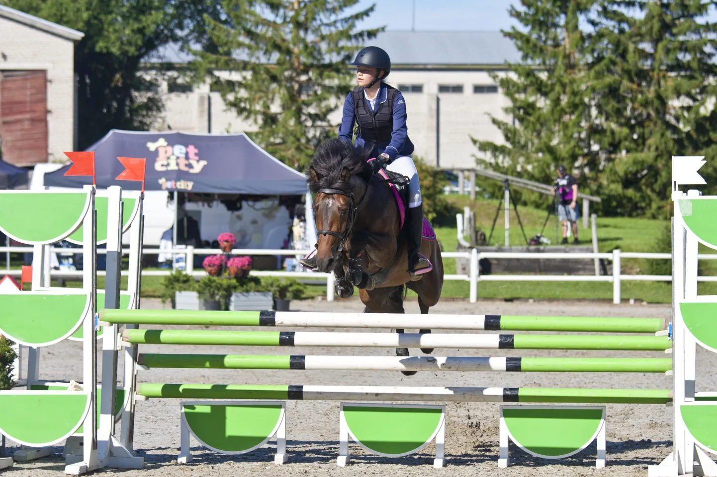 Jacqueline Putnik poniga Tabita