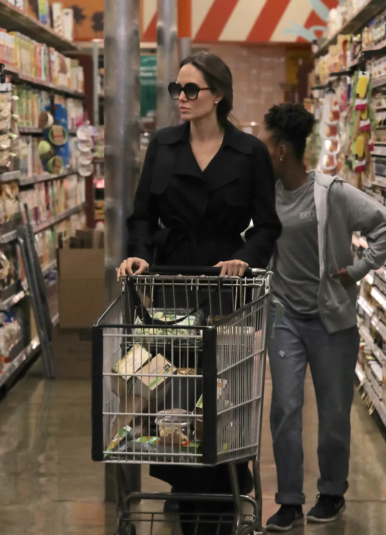 Angelina Jolie ja lapsed käisid remondi- ja sisustuspoes