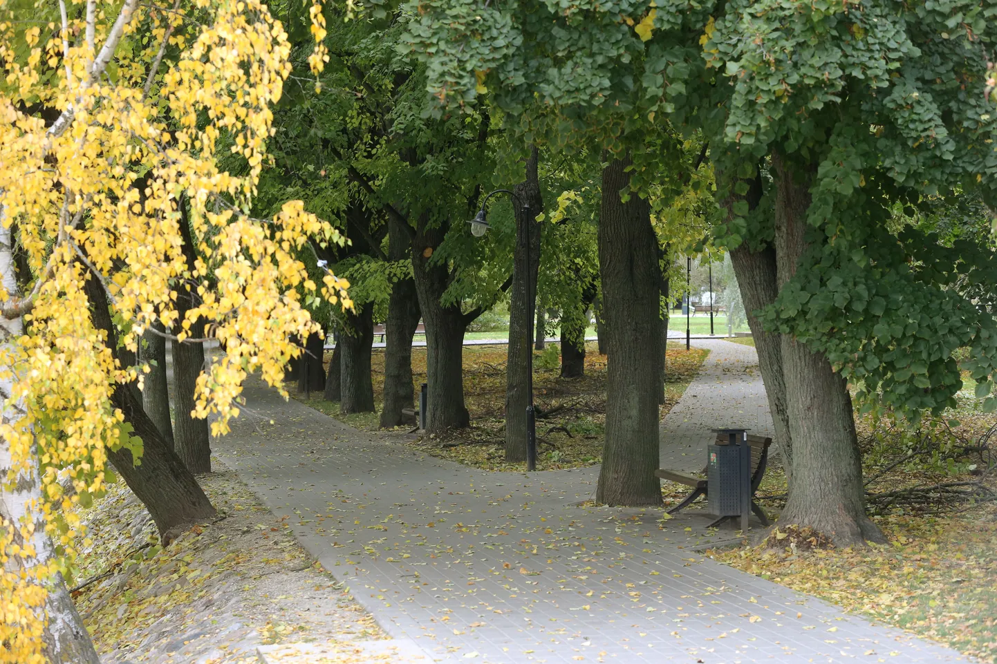 Pildil Holmi park.