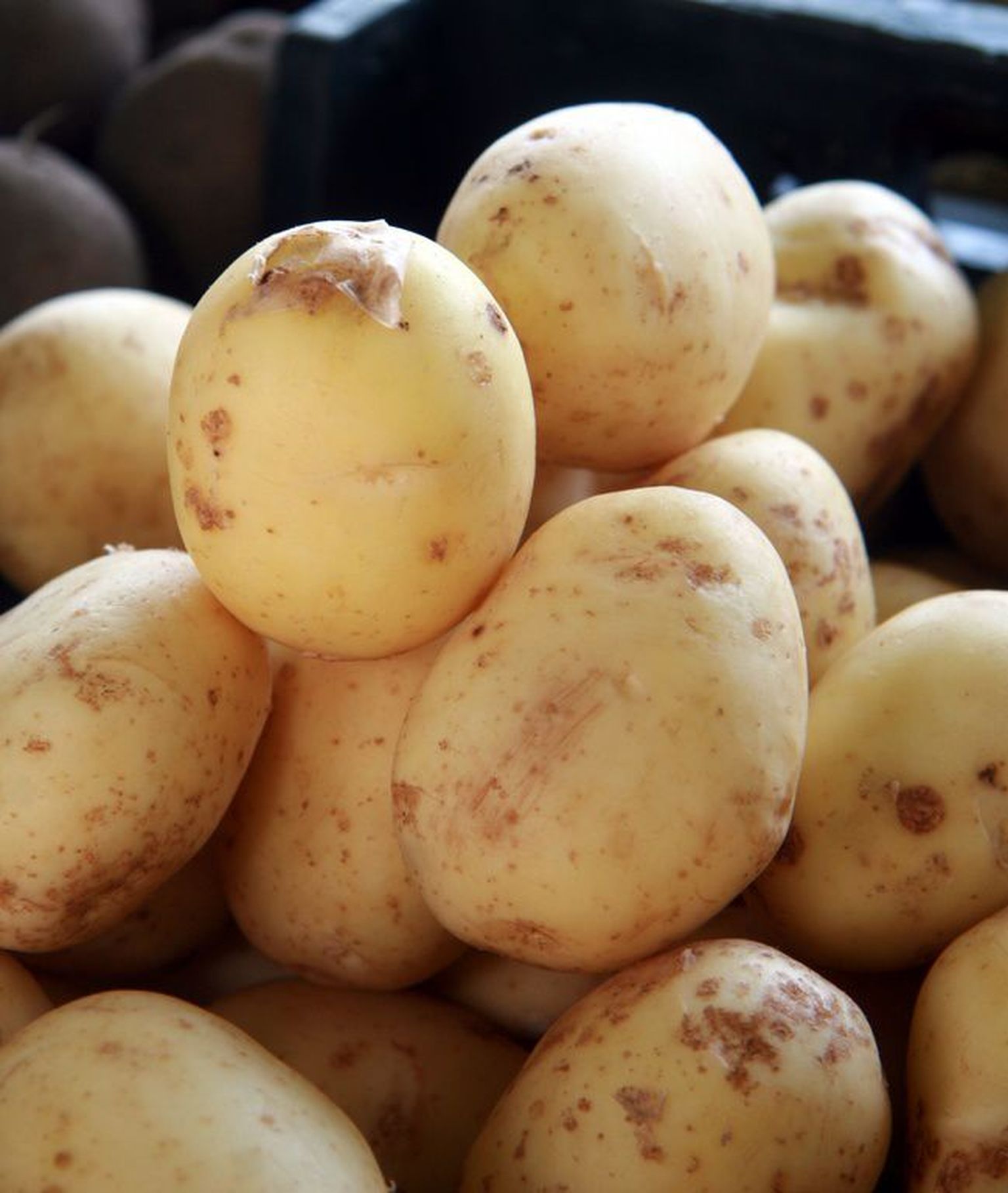Toitumisspetsialist Mai Maseri arvates on eestimaalased kartuli teenimatult riisi ja makaronidega asendanud